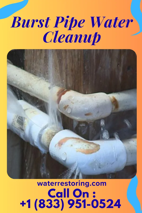 Burst Pipe Water Cleanup in Accomac, VA