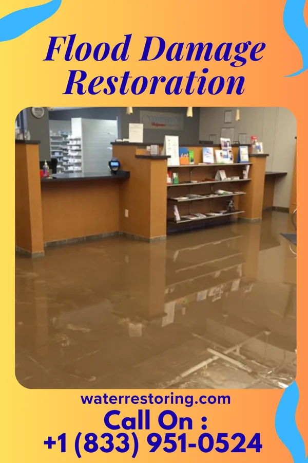Flood Damage Restoration in Accomac, VA