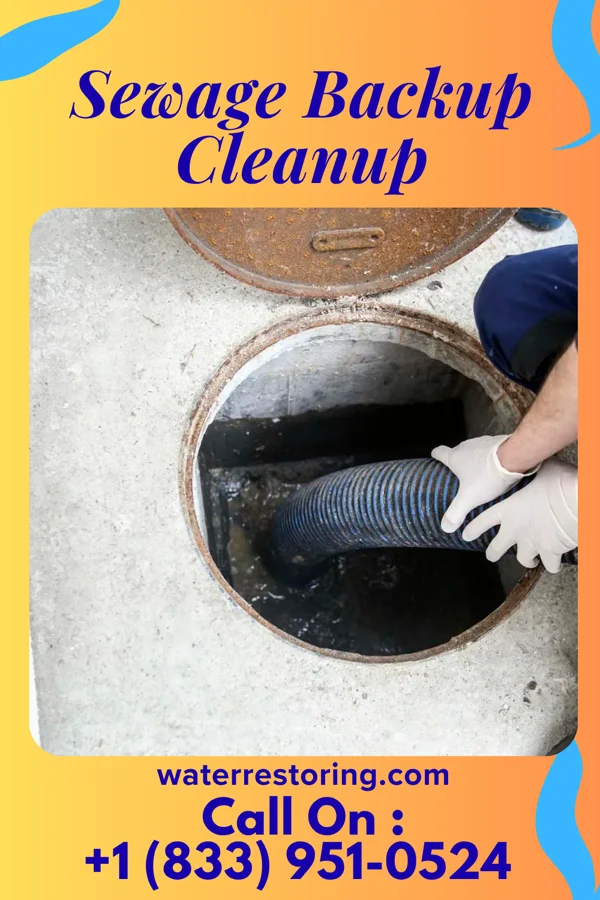 Sewage Backup Cleanup in Accomac, VA