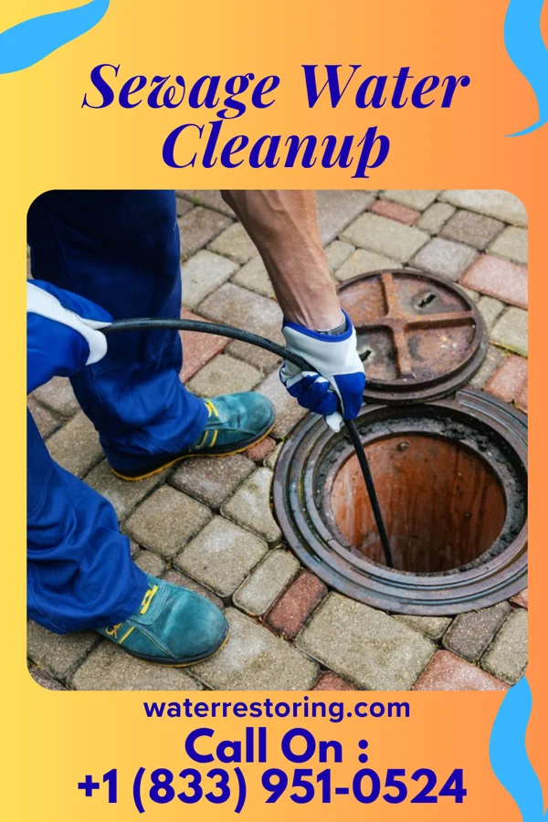 Sewage Water Cleanup in Accomac, VA